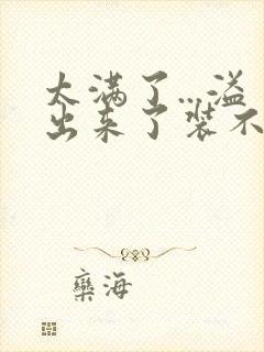 太满了...溢出来了装不下了