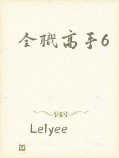 全职高手6