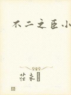 不二之臣小说