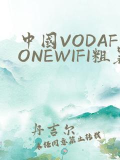 中国VODAFONEWIFI粗暴APP