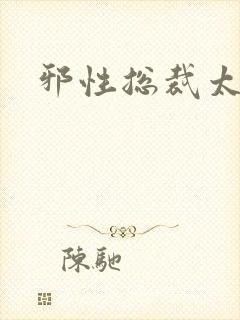 邪性总裁太难缠