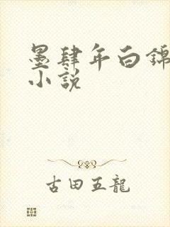 墨肆年白锦瑟 小说