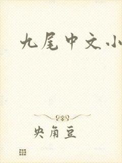 九尾中文小说网