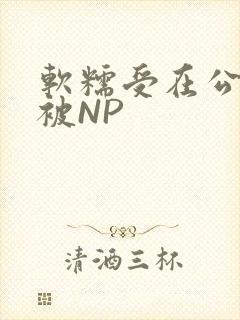 软糯受在公交车被NP