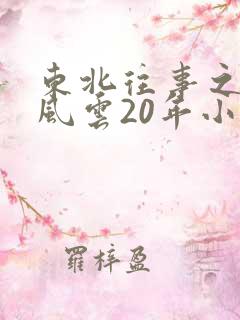 东北往事之黑道风云20年小说