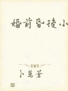婚前昏后小说