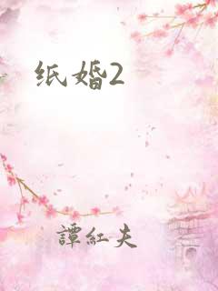 纸婚2
