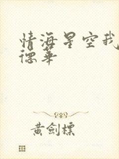 情海星空我与刘德华