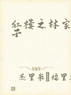 红楼之林家庶长子