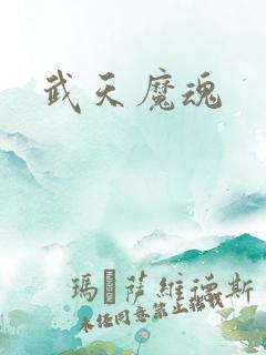 武天魔魂