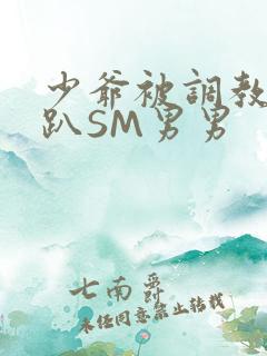 少爷被调教室跪趴SM男男