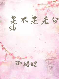 是不是老公的小sb