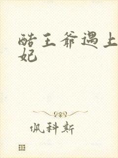 酷王爷遇上穿越妃