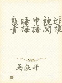 熟睡中被进了H青梅诱哄视频