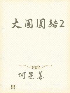 大团圆结2