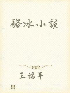 骆冰小说