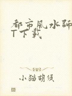 都市风水师TXT下载