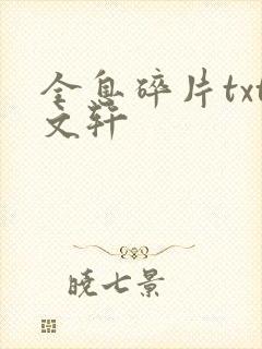 全息碎片txt文轩