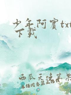 少年阿宾txt 下载