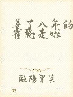 养了八年的金丝雀飞走啦