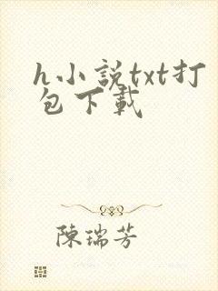 h小说txt打包下载