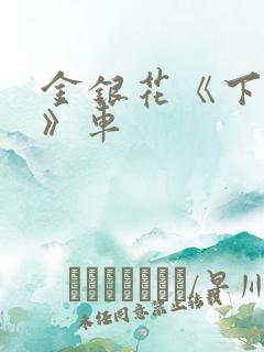 金银花《下厨房》车