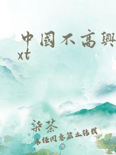 中国不高兴 txt