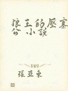 狼王的压寨小相公 小说