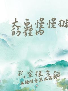 大龟慢慢挺进我的体内