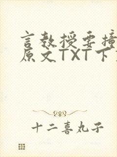 言教授要撞坏了原文TXT下载