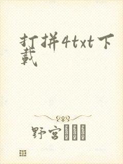 打拼4txt下载