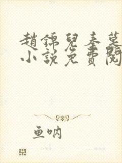 赵锦儿秦慕修的小说免费阅读全文