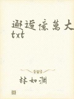 邂逅亿万大人物txt