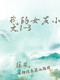 我的女友小洁全文1-3
