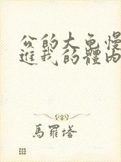 公的大龟慢慢挺进我的体内小说