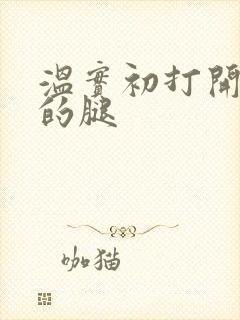 温实初打开眉庄的腿