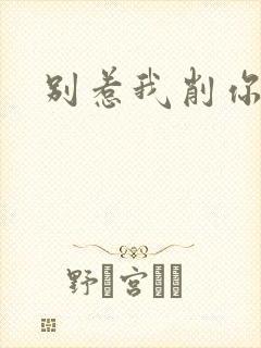 别惹我削你