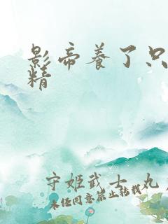 影帝养了只兰花精