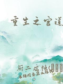 重生之官道吧