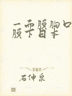 一面膜胸口一面膜下日本