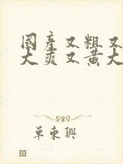 国产又粗又猛又大爽又黄大爷