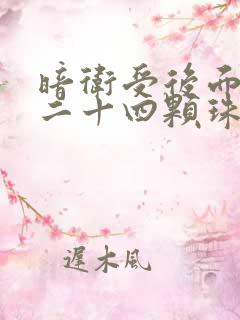 暗卫受后面被塞二十四颗珠子