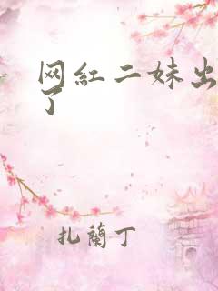 网红二妹出啥事了