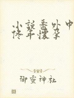 小说番外中结局佟年怀孕