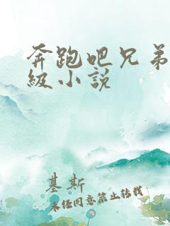 奔跑吧兄弟限制级小说