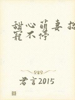 甜心萌妻 总裁宠不停