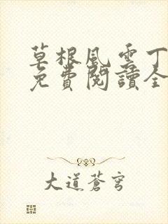 草根风云丁长生免费阅读全本