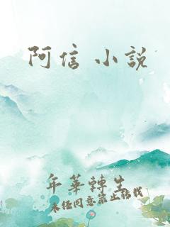 阿信 小说