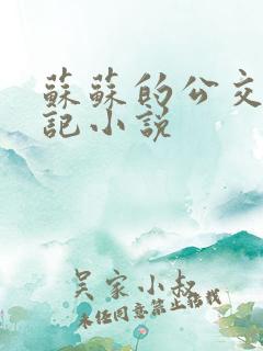 苏苏的公交车日记小说