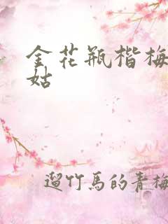 金花瓶楷梅花尼姑